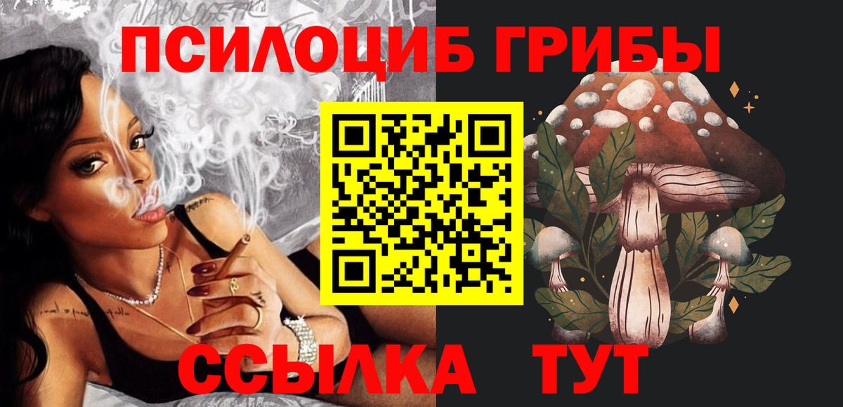Галлюциногенные грибы Psilocybe Краснокаменск