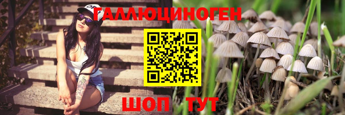 Краснокаменск  даркнет сайт  Вход с VPN  Галлюциногенные грибы GOLDEN TEACHER 